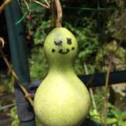 ヒメ日記 2026/02/21 09:45 投稿 黒木 HERMINE-エルミネ-