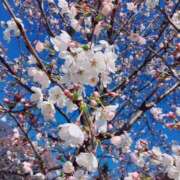 ヒメ日記 2026/02/23 09:35 投稿 黒木 HERMINE-エルミネ-