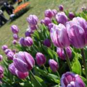 ヒメ日記 2026/02/26 08:49 投稿 黒木 HERMINE-エルミネ-