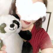 ヒメ日記 2026/02/26 09:52 投稿 黒木 HERMINE-エルミネ-