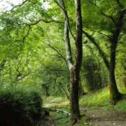 ヒメ日記 2026/02/27 09:29 投稿 黒木 HERMINE-エルミネ-