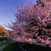 ヒメ日記 2026/03/01 03:15 投稿 黒木 HERMINE-エルミネ-