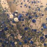 ヒメ日記 2026/03/11 22:30 投稿 黒木 HERMINE-エルミネ-