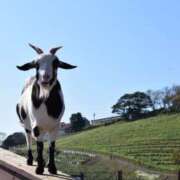 ヒメ日記 2026/03/15 10:34 投稿 黒木 HERMINE-エルミネ-