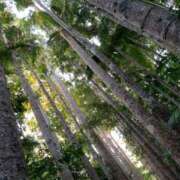 ヒメ日記 2026/03/17 23:01 投稿 黒木 HERMINE-エルミネ-