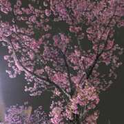 ヒメ日記 2026/03/26 21:41 投稿 黒木 HERMINE-エルミネ-