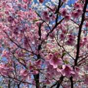 ヒメ日記 2026/03/29 07:47 投稿 黒木 HERMINE-エルミネ-