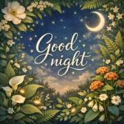 ヒメ日記 2026/04/08 21:51 投稿 黒木 HERMINE-エルミネ-