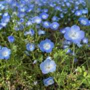 ヒメ日記 2026/04/15 21:38 投稿 黒木 HERMINE-エルミネ-