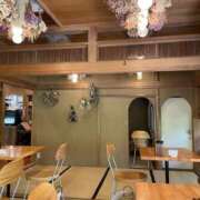 ヒメ日記 2026/04/17 11:11 投稿 黒木 HERMINE-エルミネ-