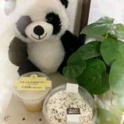 ヒメ日記 2026/04/19 04:42 投稿 黒木 HERMINE-エルミネ-