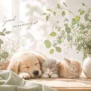 ヒメ日記 2026/04/24 11:43 投稿 黒木 HERMINE-エルミネ-