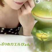 ヒメ日記 2026/05/01 15:40 投稿 黒木 HERMINE-エルミネ-