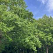 ヒメ日記 2026/05/07 09:57 投稿 黒木 HERMINE-エルミネ-