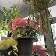ヒメ日記 2026/05/20 09:49 投稿 黒木 HERMINE-エルミネ-