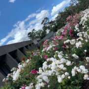 ヒメ日記 2026/05/24 10:27 投稿 黒木 HERMINE-エルミネ-