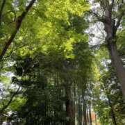 ヒメ日記 2026/05/29 09:17 投稿 黒木 HERMINE-エルミネ-