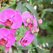 ヒメ日記 2026/06/01 10:42 投稿 黒木 HERMINE-エルミネ-