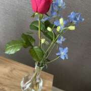 ヒメ日記 2026/06/12 10:25 投稿 黒木 HERMINE-エルミネ-