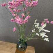 ヒメ日記 2026/06/13 11:56 投稿 黒木 HERMINE-エルミネ-