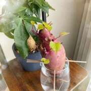 ヒメ日記 2026/06/15 15:06 投稿 黒木 HERMINE-エルミネ-