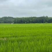 ヒメ日記 2026/07/04 09:38 投稿 黒木 HERMINE-エルミネ-