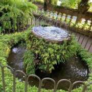 ヒメ日記 2026/07/12 21:03 投稿 黒木 HERMINE-エルミネ-