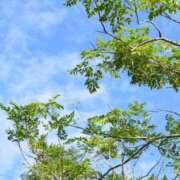 ヒメ日記 2026/07/14 10:18 投稿 黒木 HERMINE-エルミネ-