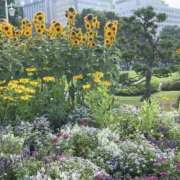 ヒメ日記 2026/07/20 12:51 投稿 黒木 HERMINE-エルミネ-