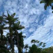 ヒメ日記 2026/09/10 07:36 投稿 黒木 HERMINE-エルミネ-