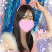 ヒメ日記 2025/11/14 12:04 投稿 なち 恋するバニー