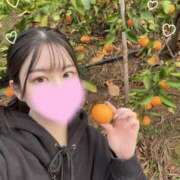 ヒメ日記 2025/11/26 14:01 投稿 なち 恋するバニー