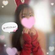 ヒメ日記 2025/12/25 21:05 投稿 なち 恋するバニー