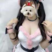 ヒメ日記 2025/12/24 13:08 投稿 しえる IRIS一宮