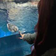 ヒメ日記 2026/01/17 22:24 投稿 しえる IRIS一宮