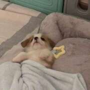 ヒメ日記 2026/01/21 13:13 投稿 しえる IRIS一宮