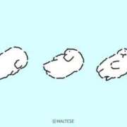 ヒメ日記 2026/02/08 15:58 投稿 しえる IRIS一宮