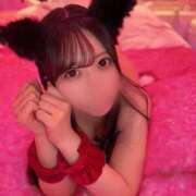 ヒメ日記 2025/11/24 17:37 投稿 ねね(五反田) ごほうびSPA 新宿店