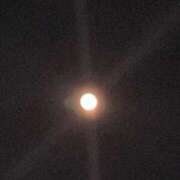 ヒメ日記 2025/11/08 00:32 投稿 まお 所沢東村山ちゃんこ