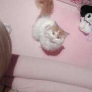 ヒメ日記 2026/01/31 00:42 投稿 みくりん 池袋ギャルデリ