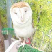 ヒメ日記 2026/01/13 19:01 投稿 みおり 錦糸町人妻ヒットパレード（シンデレラグループ）