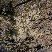 みおり 久々出勤?? 錦糸町人妻ヒットパレード（シンデレラグループ）