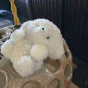 ヒメ日記 2025/11/09 10:19 投稿 とわ ていくぷらいど.学園