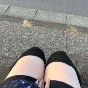 ヒメ日記 2025/11/12 16:06 投稿 ゆん ぷよラブ