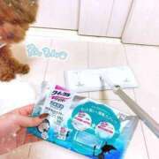 ももか ちらり🐕️❤️ 山梨デリヘル 絆