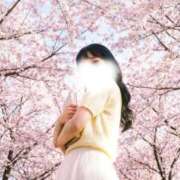 ヒメ日記 2026/03/25 13:15 投稿 あみ ミセスファースト 熊谷店 -お姉さん・若妻専門店-