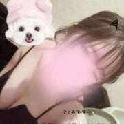 ここみ 今日もいるよ！ リアル 日本橋店