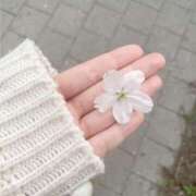 ヒメ日記 2025/11/14 08:18 投稿 純奈（じゅんな） Bijou R