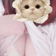 ヒメ日記 2025/11/11 21:31 投稿 うるか サンキュー沼津店（サンキューグループ）