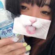 ヒメ日記 2025/11/13 00:51 投稿 うるか サンキュー沼津店（サンキューグループ）